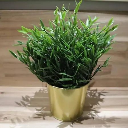 Maison Atypique, Centre-ville 2+2 Pers Sauna Ir * Sedan